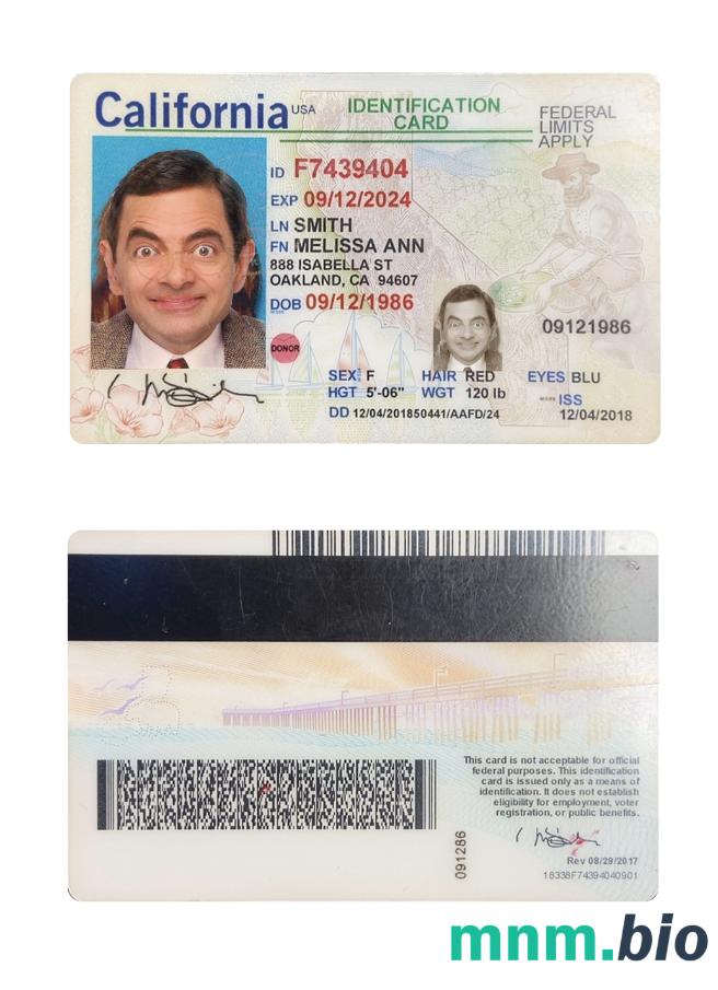 Przykład karty identyfikacyjnej stanu Kalifornia (USA) w formacie PSD, w pełni edytowalny